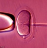 ivf-screening-healthy-embryo
