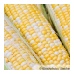 images-of-vitamin-k